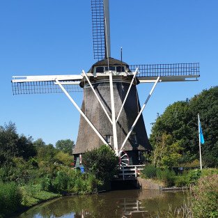 La Hollande, Pays que j'apprécie pour son calme et son rapport à la nature. J'aime particulièrement Amsterdam, je trouve cette ville magnifique et très reposante.